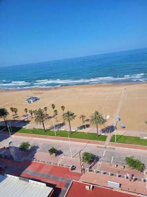 A beach with a clear view of the ocean, palm trees, and a paved walkway leading to the beach.