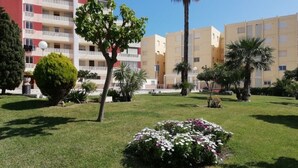 A courtyard with a well-maintained lawn, a flower bed, and a palm tree. - Apartment Don Chimo Front Line Gandia Beach (Grau i Platja)