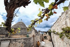 Property grounds - Trulli Experience - Casedda (Antonelli)