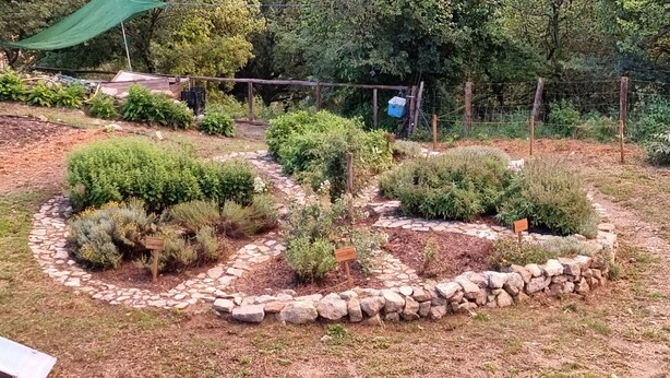 A garden with various plants and a stone pathway. - Lo Cel De Tolo (Gavet de la Conca)