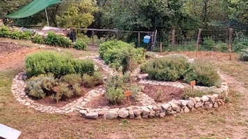 Un jardín con diversas plantas y un sendero de piedra.