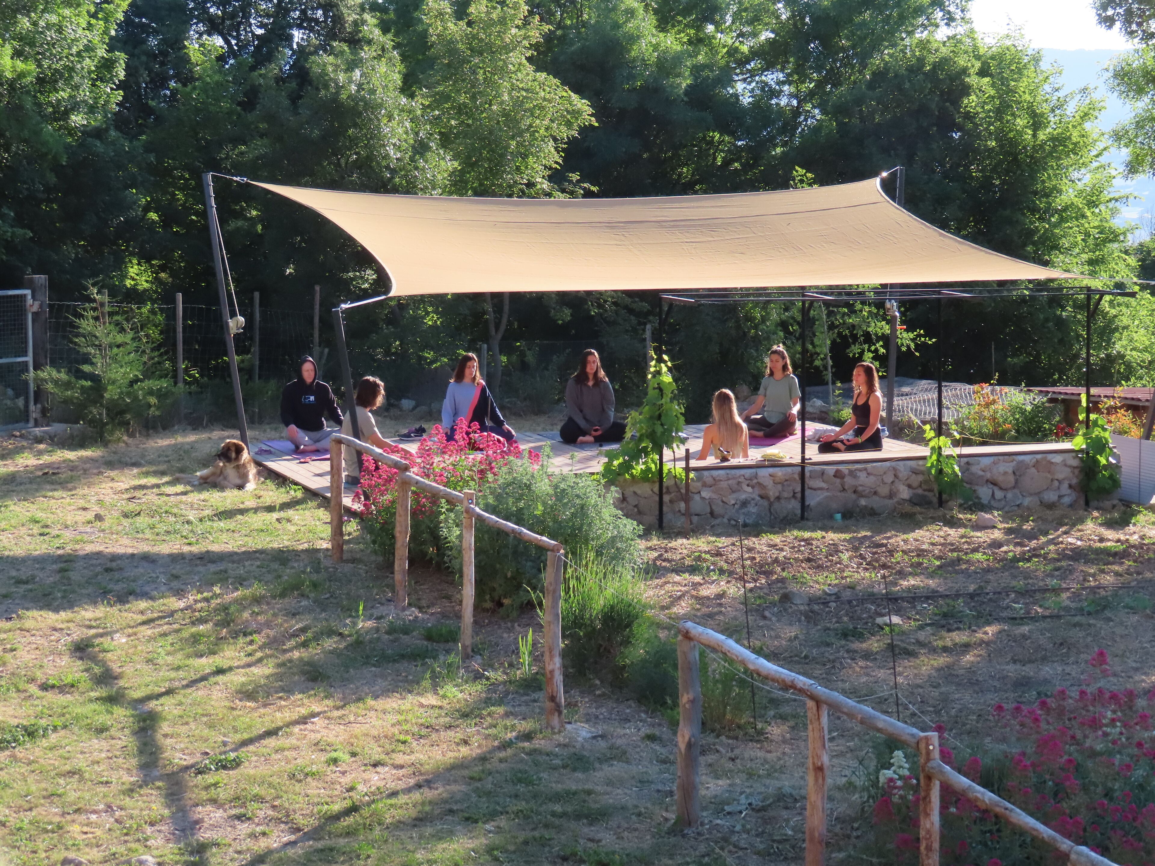 Terrein van de accommodatie