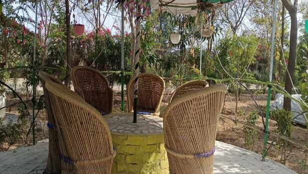 Terrace/patio - Charming farmhouse in peaceful countryside overlooking Aravalli (Jharli)