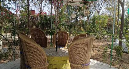 Charming farmhouse in peaceful countryside overlooking Aravalli