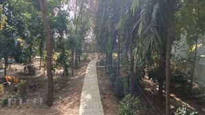Property grounds - Charming farmhouse in peaceful countryside overlooking Aravalli (Jharli)