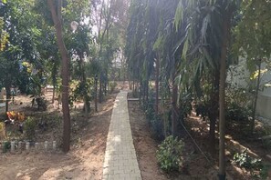 Property grounds - Charming farmhouse in peaceful countryside overlooking Aravalli (Jharli)