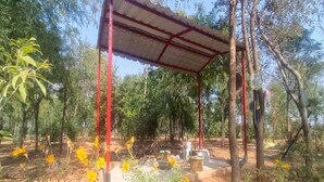 Miscellaneous - Charming farmhouse in peaceful countryside overlooking Aravalli (Jharli)