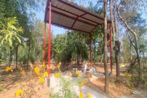 Miscellaneous - Charming farmhouse in peaceful countryside overlooking Aravalli (Jharli)