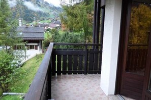 Property grounds - Apartment in Orée du Bois near Village Center (LE GRAND BORNAND)
