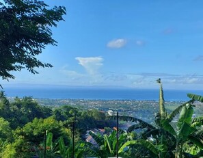 Vista desde la propiedad