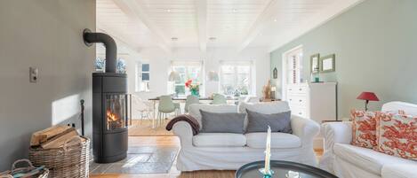 Télévision, cheminée, chaîne hi-fi