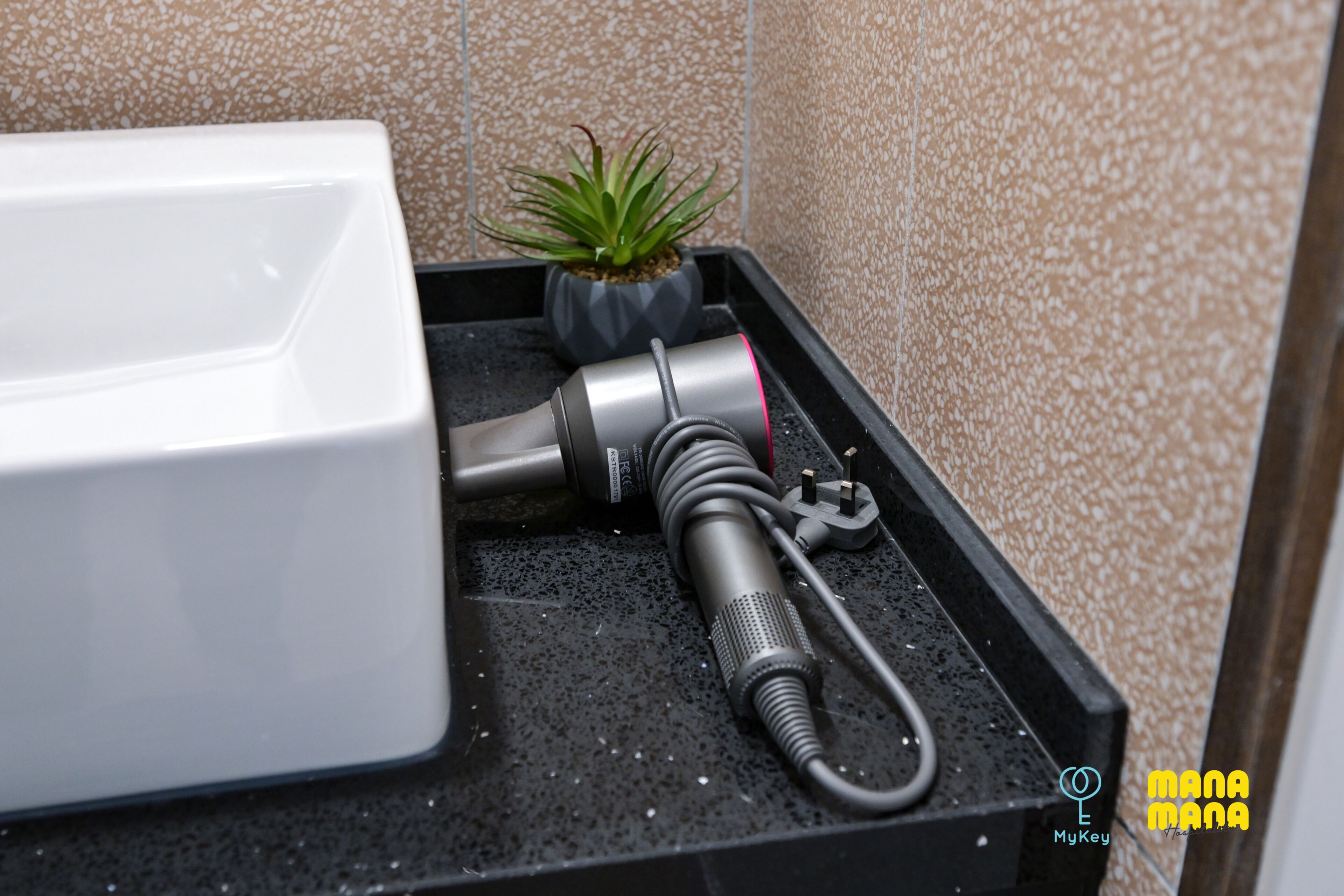 A bathroom with a white sink, a small potted plant, and a black floor.