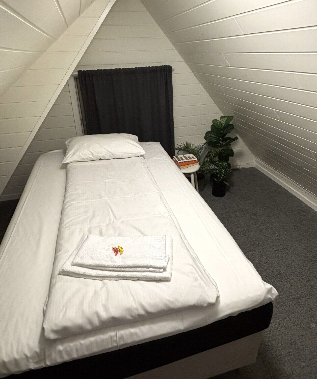 Ein kleines Zimmer mit einem Einzelbett, einer weißen Bettdecke, einem dunklen Vorhang, einem kleinen Tisch mit einem Buch und einem Topfpflanzen.