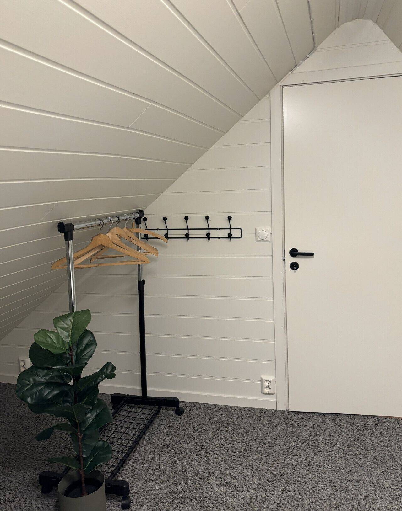 Een kamer met een witte deur, een kapstok met hangers, een potplant en een kleine tafel met dienblad.