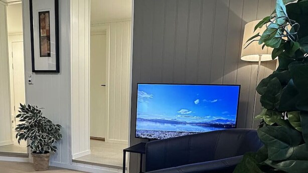A living room with a flat-screen TV, a dark sofa, a wooden coffee table, and a potted plant. - Sentral leilighet med 3 soverom og kjøkken - Mare (Tromsø)