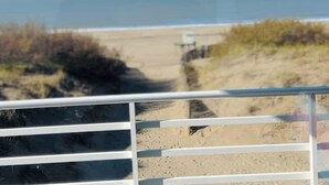 A beach view with a sandy path leading to the ocean, a railing in the foreground, and sparse vegetation.