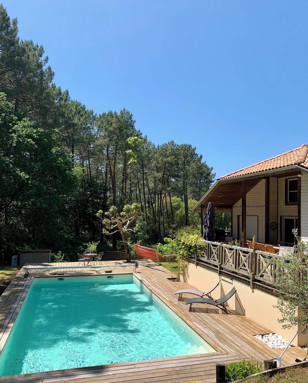 オーナーのプロフィール画像