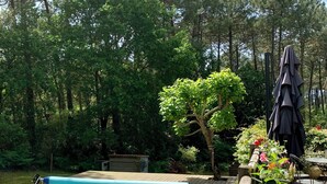 A wooden deck with a swimming pool, surrounded by lush greenery and trees. - Villa private heated pool, 4 bikes, nearby beach, surf 🌊 (Moliets-et-Maa)