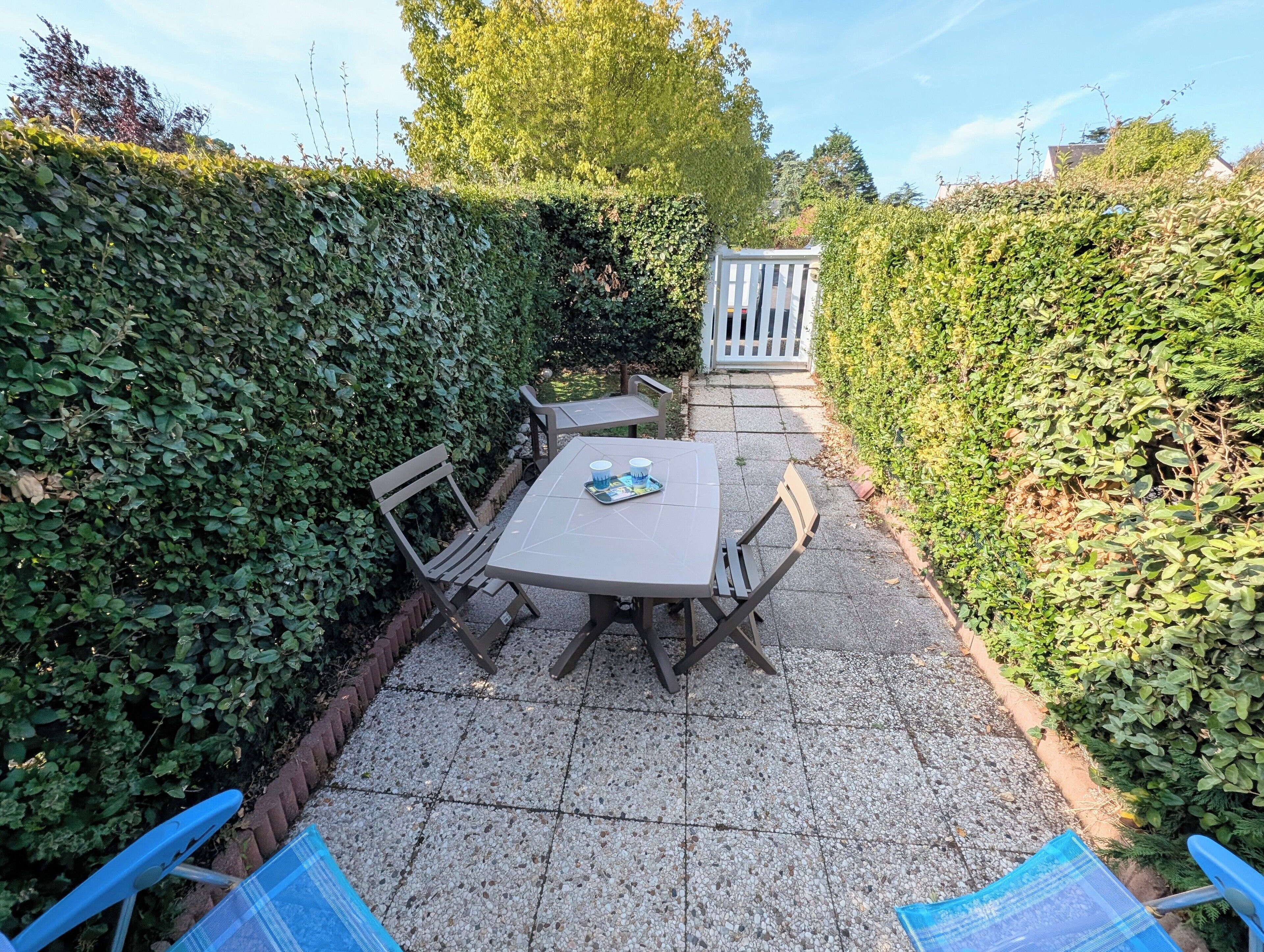 A patio with a table and chairs, surrounded by a hedge.