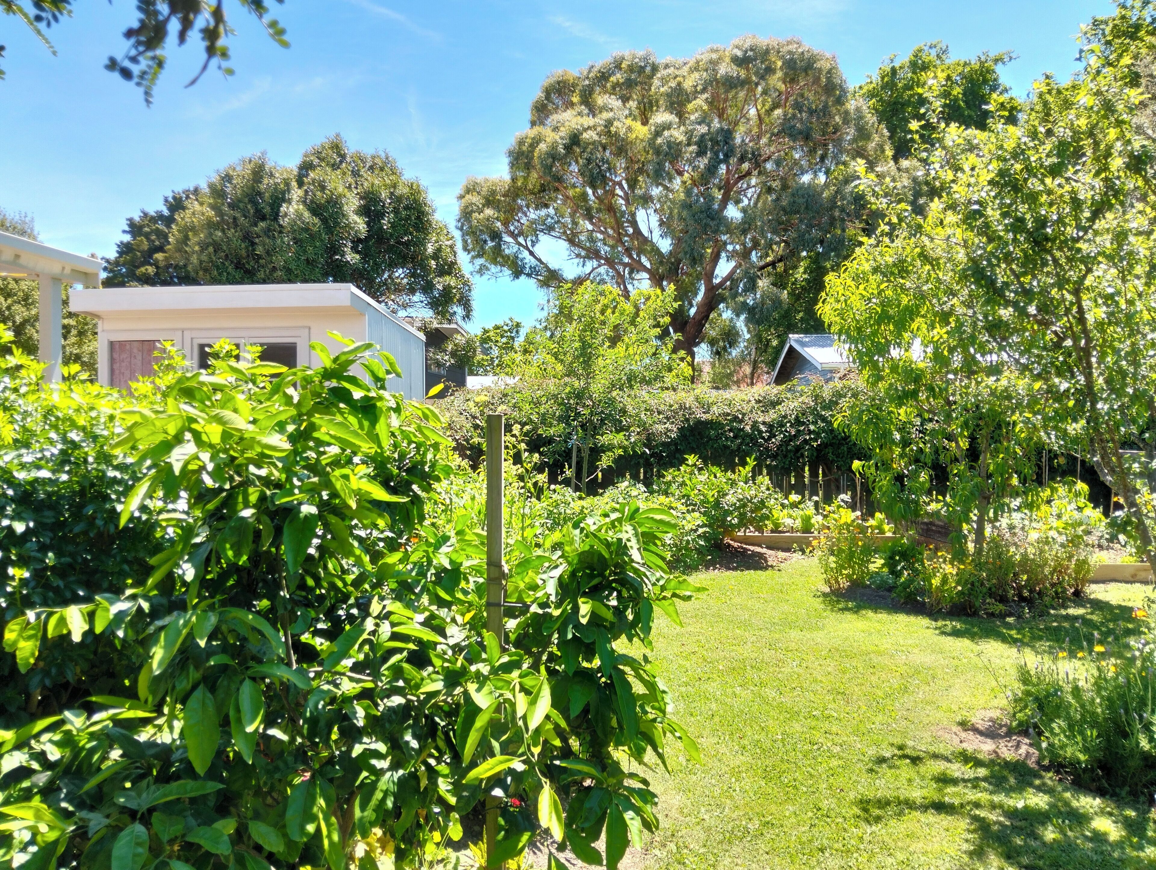 Área da propriedade