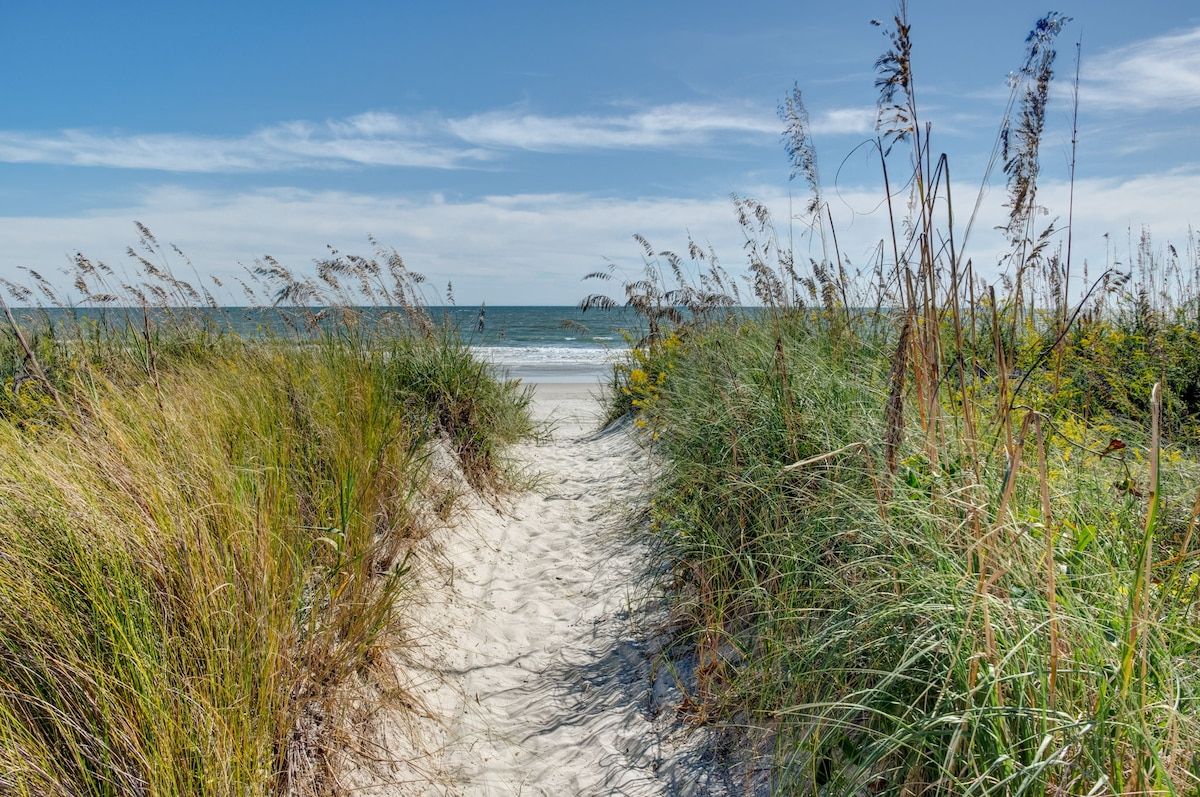 A sandy path leading to the beach, surrounded by tall grasses and wildflowers.