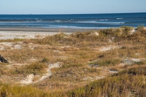 Ein Strand mit Dünen und freiem Blick auf den Ozean.