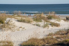 Een strand met duinen en de oceaan op de achtergrond.