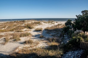 Un sentier de sable qui longe la plage et mène à l’océan, avec des dunes et de la végétation.