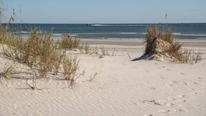 Ein sandiger Strand mit spärlicher Vegetation und freiem Blick auf den Ozean.
