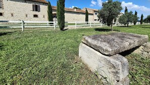 Unclassified image, 3 of 35, button - Mas de Bonnafoux (Beaucaire)