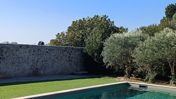 Unclassified image, 1 of 35, button - Mas de Bonnafoux (Beaucaire)