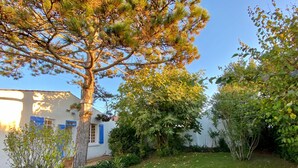 En trädgård vid ett bostadshus med en gräsmatta, ett stort träd och ett hus med blåa fönsterluckor.