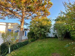 Ein Garten mit Rasen, einem großen Baum und einem Haus mit blauen Fensterläden.