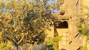 A stone building with a narrow stone pathway leading to a door. - LA MAISON BRUNO DI SALVIO (Les Vans)