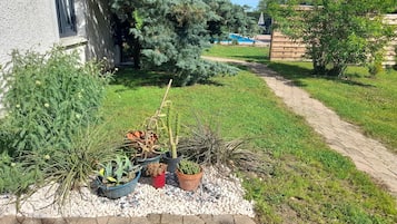 Chambre Double, balcon, vue jardin | Terrasse/Patio