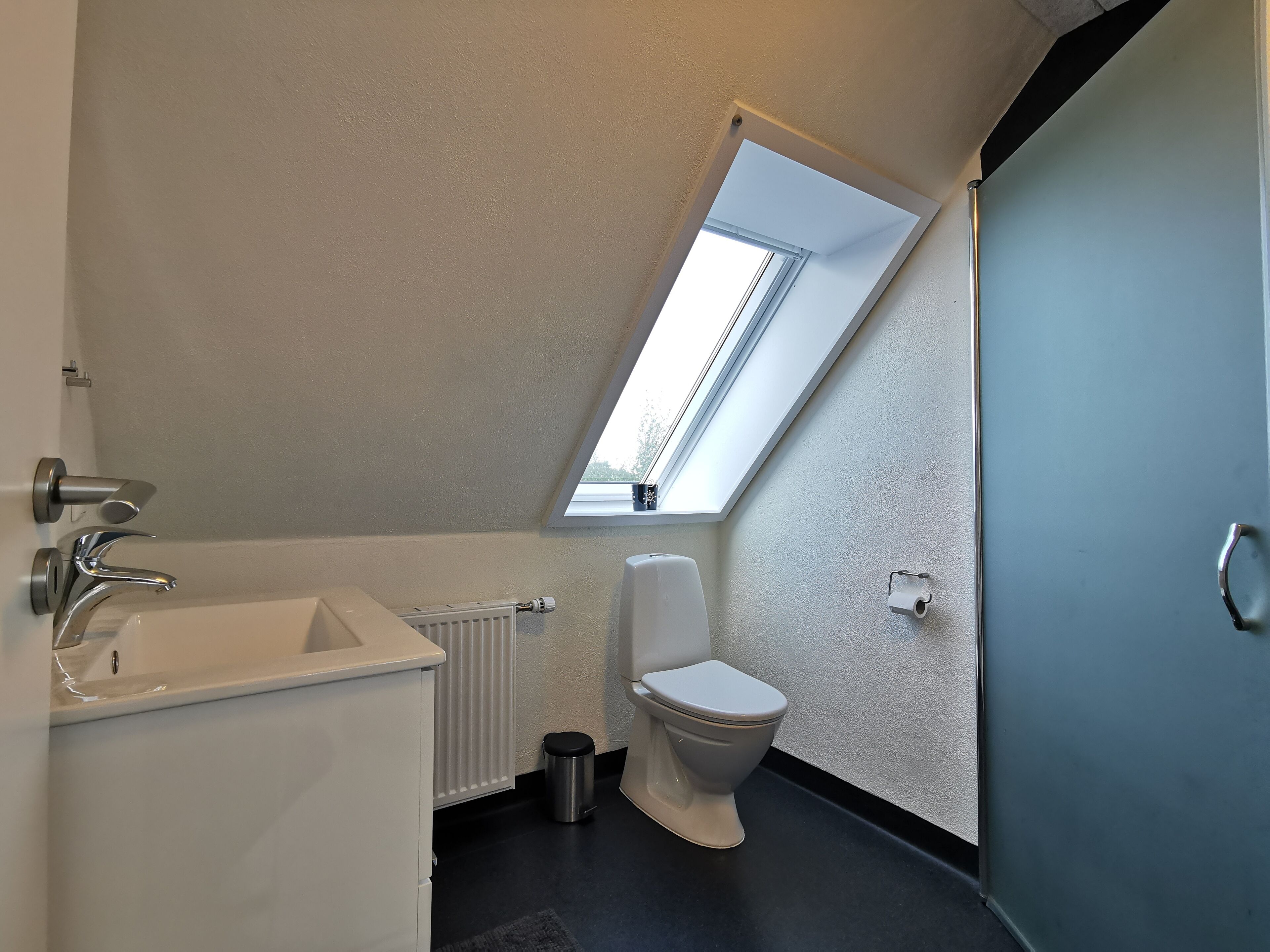 A modern bathroom with a skylight, white fixtures, and a black floor.