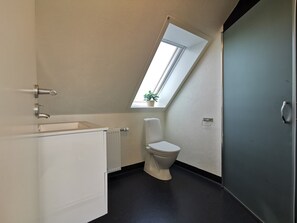 Ett badrum med ett takfönster, en toalett, ett handfat och ett skåp.