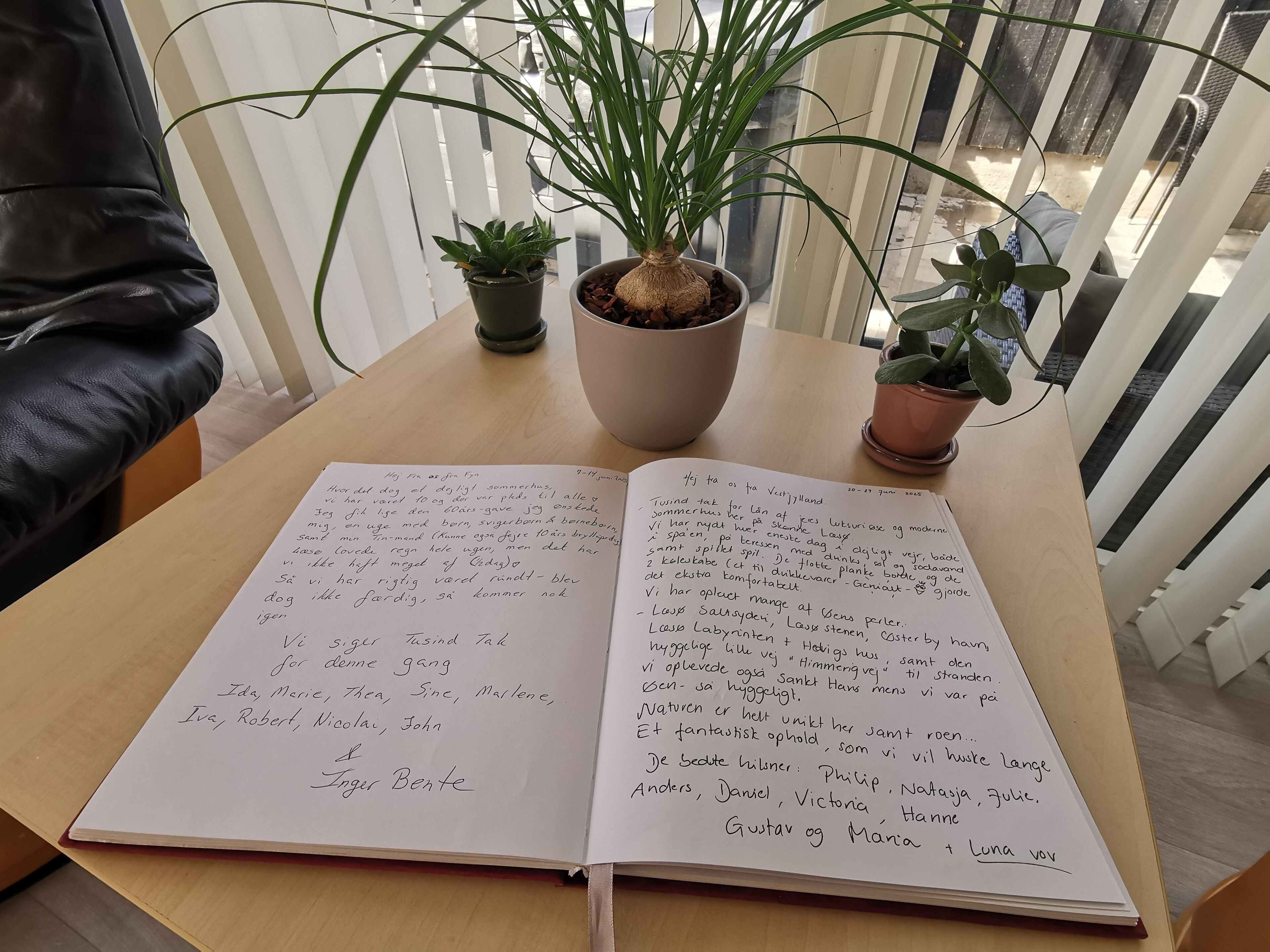 An open notebook on a wooden table with handwritten text, surrounded by potted plants.