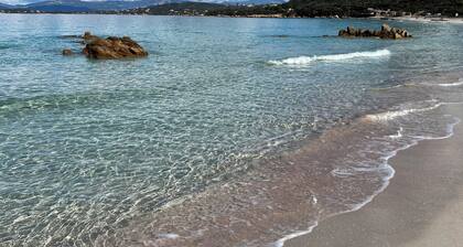 Villa Livia swimming pool, Beach 500 m, sea view