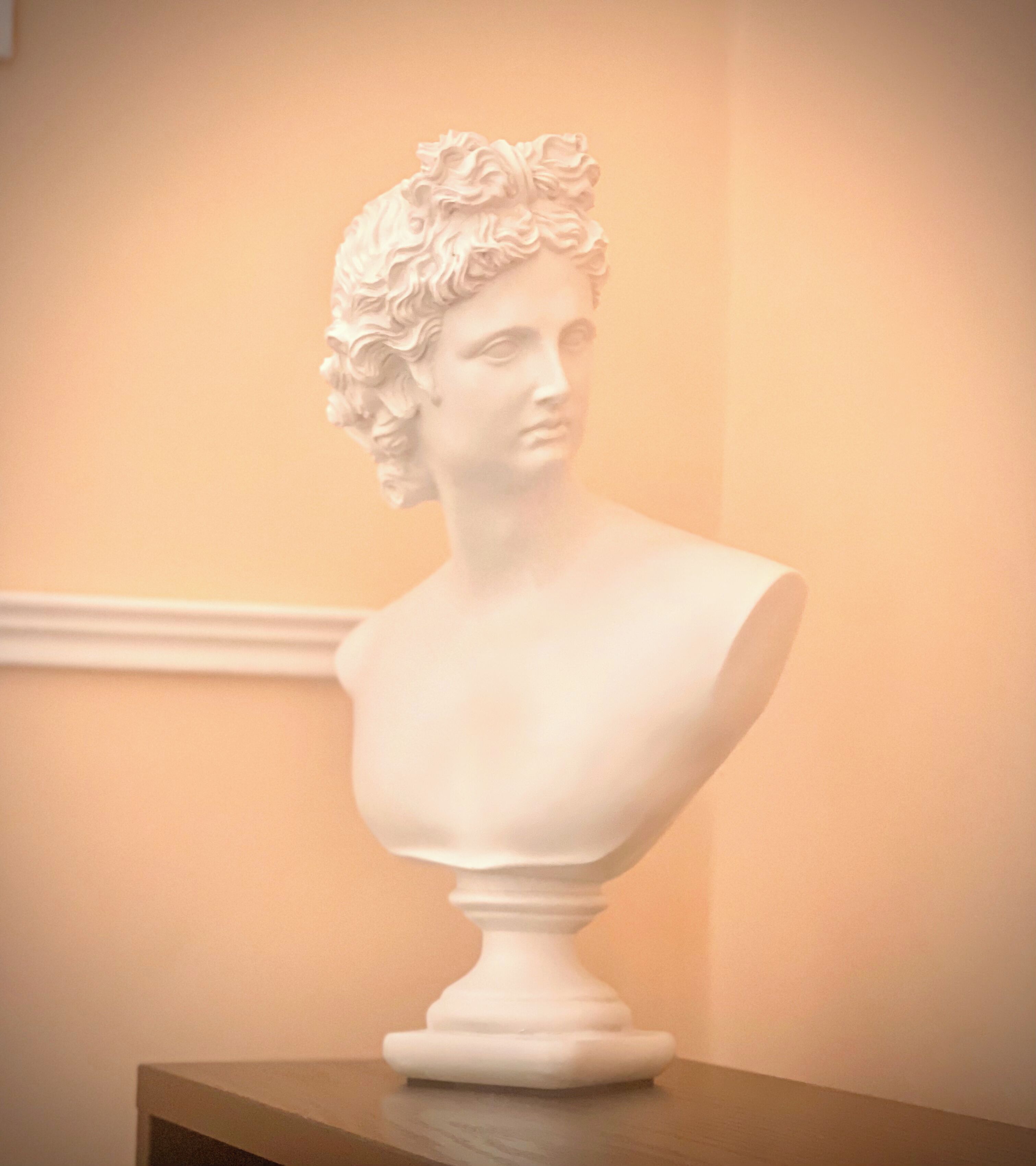 A bust sculpture on a pedestal against a plain wall.