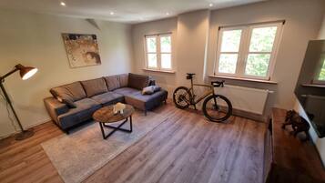 TV connectée, cheminée, livres, chaßne hi-fi