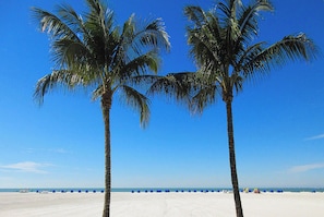 Two palm trees on a beach with a clear blue sky. - Beachfront 2B/2B Sandarac Vacation Condo 506B. Direct gulf view! (Fort Myers Beach)