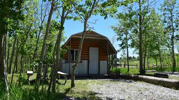 A small wooden cabin with a pitched roof, surrounded by trees and a gravel path.