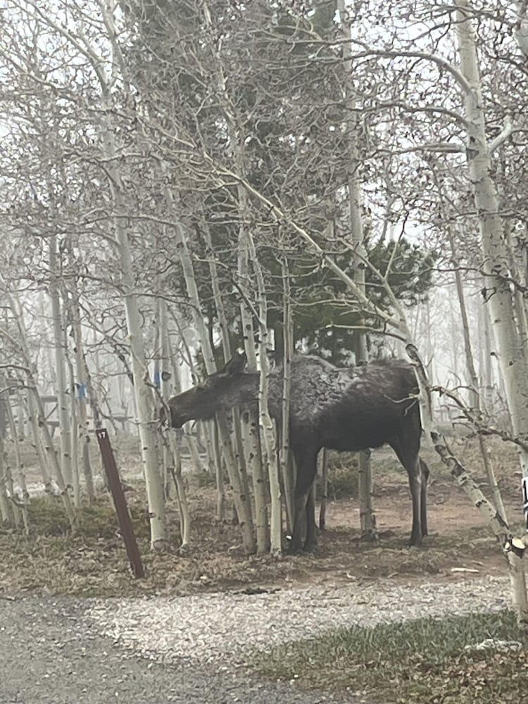Base Camp at Golden Gate Canyon by null