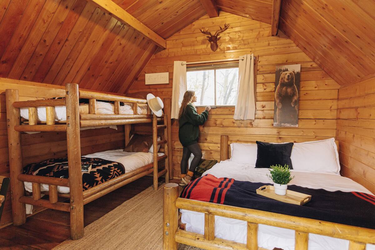 A cabin with wooden walls, a bunk bed, a window with curtains, a bear poster, and a plant on the bed.