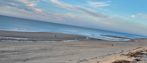 Playa