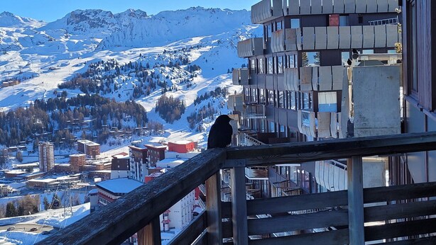 A person on a balcony overlooking a snowy mountain landscape with buildings in the foreground. - Comfortable apartment, ski-in ski-out, pets allowed (Plagne Aime 2000)