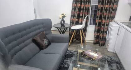 Bright and Modern Flat in Manchester's Heart