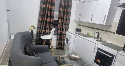 Bright and Modern Flat in Manchester's Heart