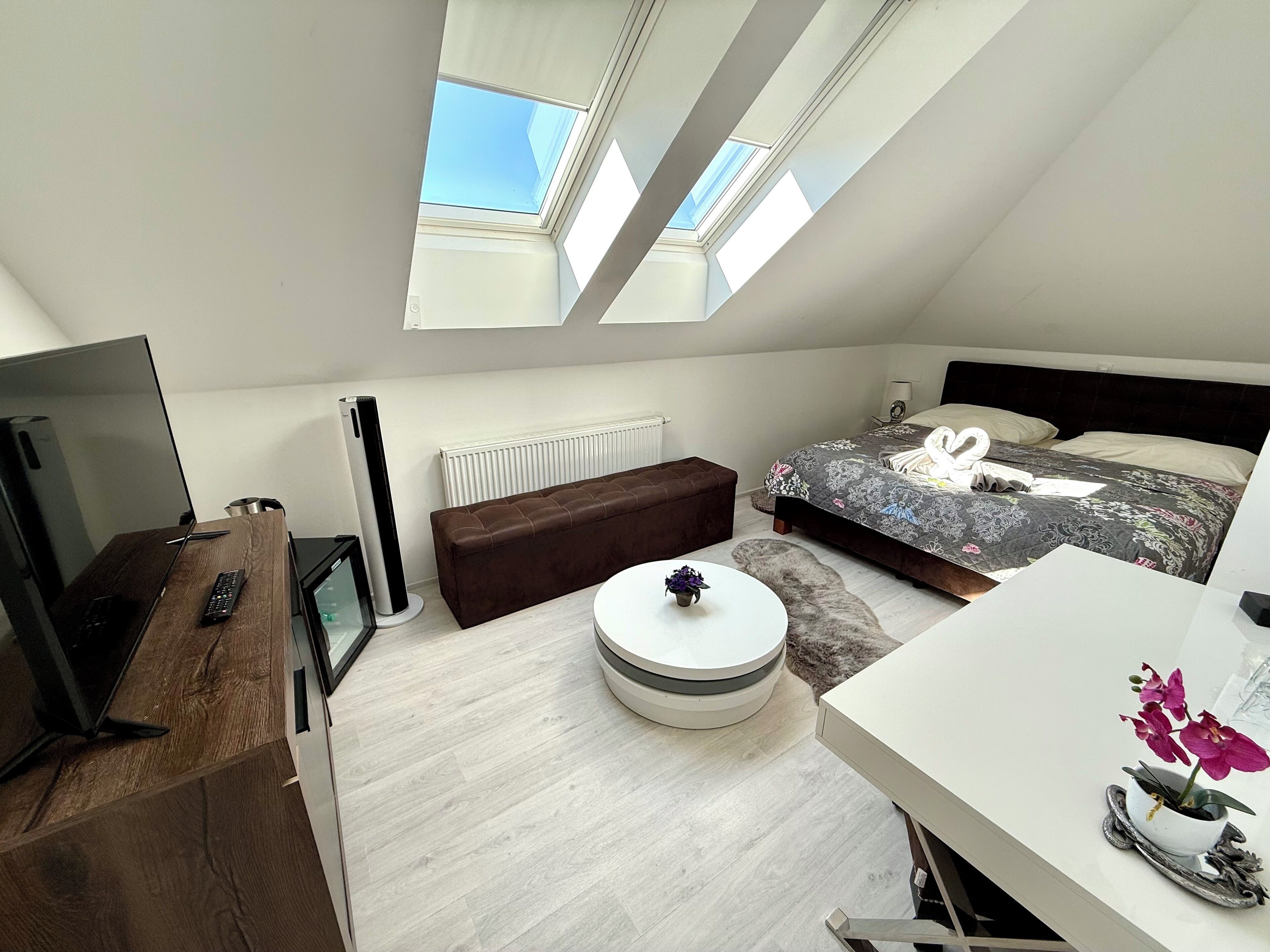 واي فاي مجانًا